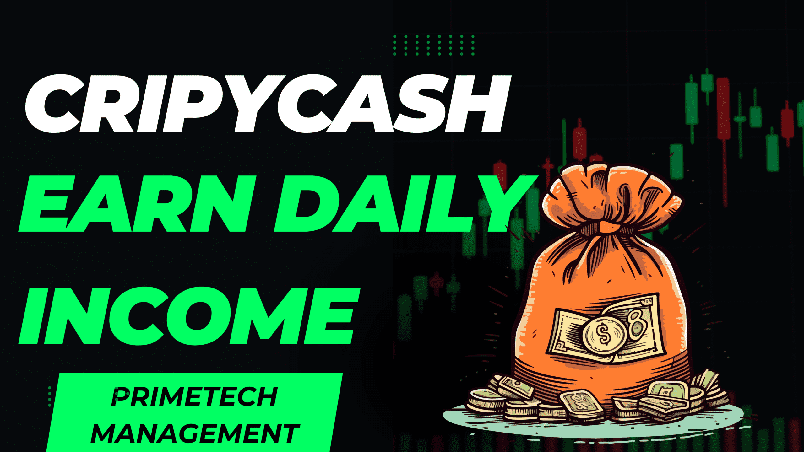 pimechat Zambia tasks and bonuses